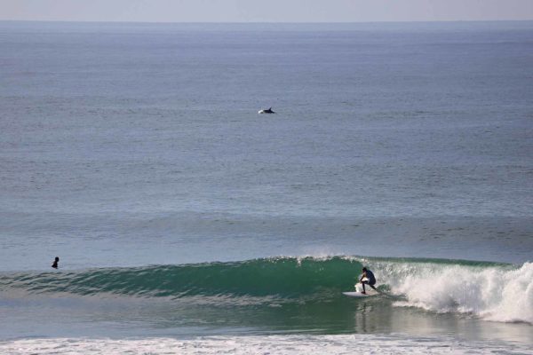 photographe surf france clement philippon