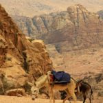 Voyage Jordanie Mer morte Petra terre sainte clement philippon